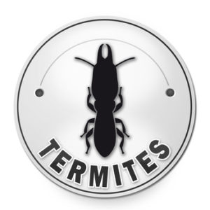 Diagnostic termites