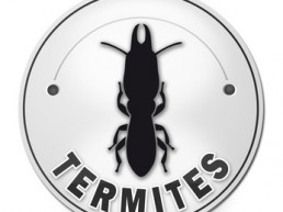 Diagnostic termites